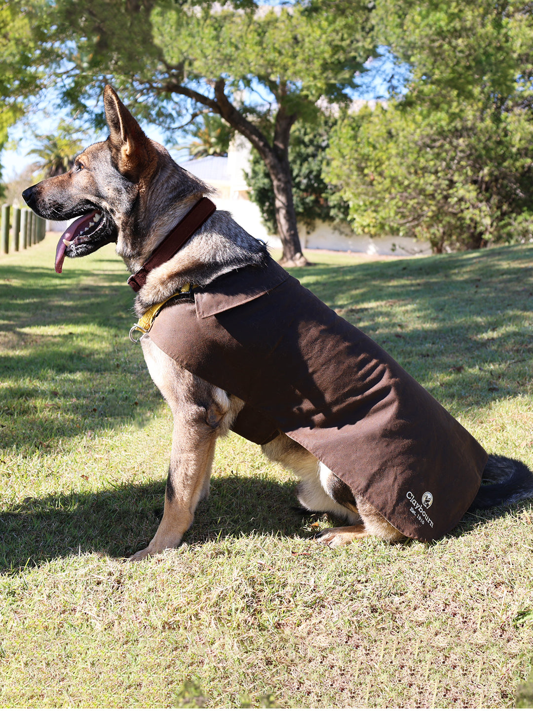 German shepherd clearance dog jacket